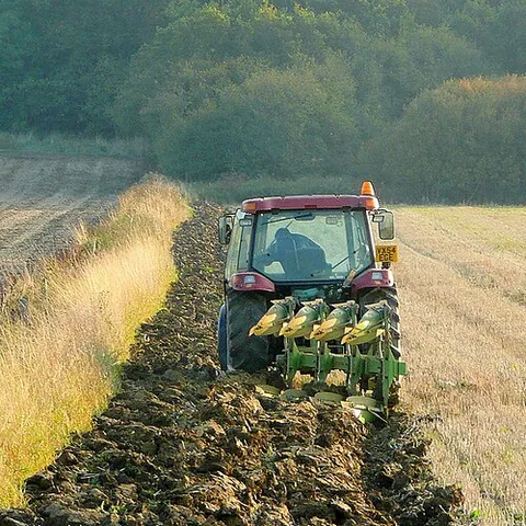 ploughing: the breaking of the ground into furrows (with a plough) for planting