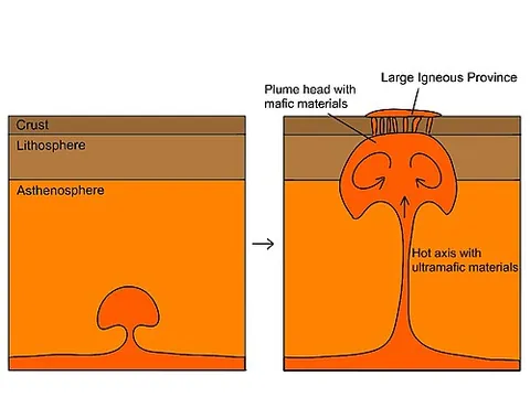 plume tail: the narrow, column-like structure of a mantle plume, thought to cause continued hot spot volcanism...
