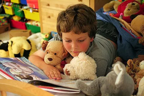 plush toy: a soft toy with a soft, plush covering