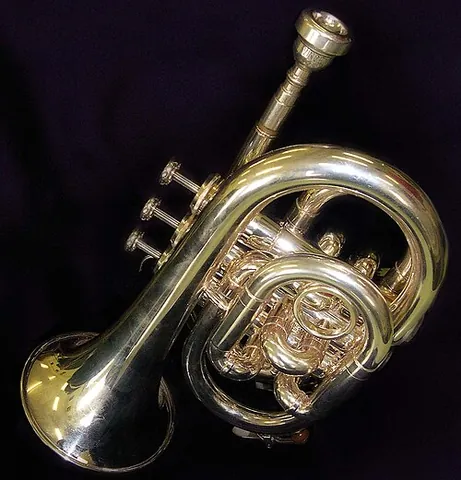 pocket trumpet: a compact B-flat major trumpet, with the same range as a standard B-flat major trumpet