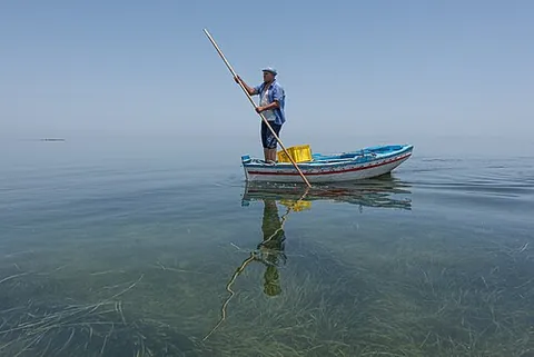 poling boat: any small boat, such as a punt, propelled using a long pole