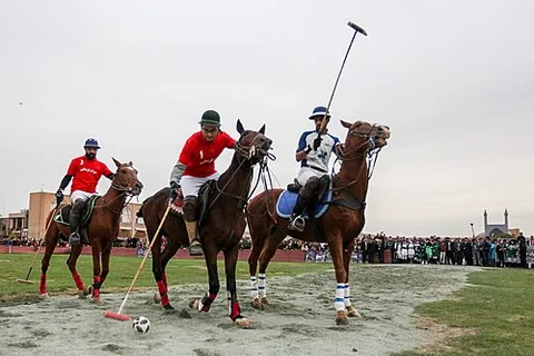 polo-stick: the elongate implement needed to push a ball from a horseback and thereby vie with other mounted...