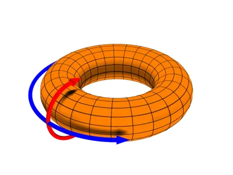 poloidal: of, pertaining to, or shaped like a poloid