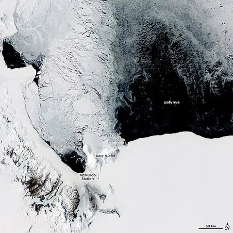 polynya: a naturally formed transient area of open water surrounded by sea ice, especially in polar or...
