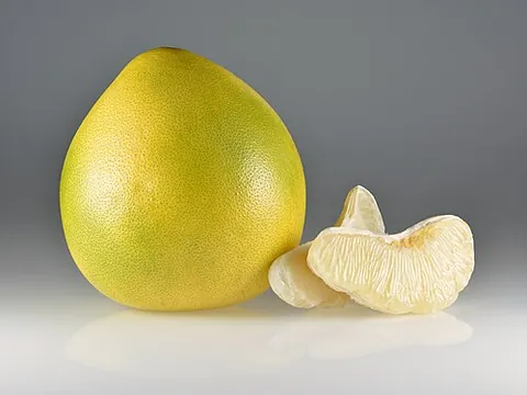 pomelo: the large fruit of the Citrus maxima (syn. C. grandis), native to South Asia and Southeast Asia,...