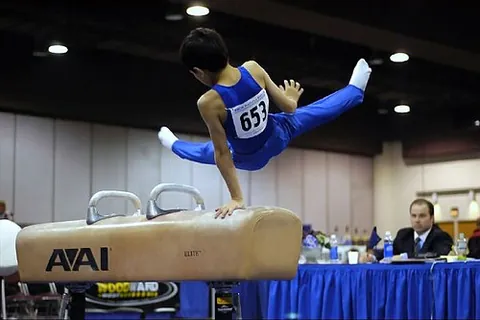 pommel horse: an apparatus for gymnastic exercises with a cylindrical body covered with leather and two upright...