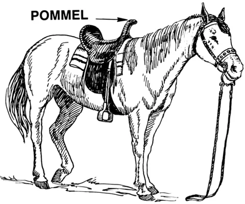 pommel: the upper front brow of a saddle