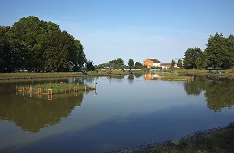 pond: an inland body of standing water, either natural or man-made, that is smaller than a lake