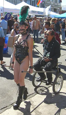 ponygirl: a woman, usually submissive, who takes the role of a pony; this typically includes wearing tack...
