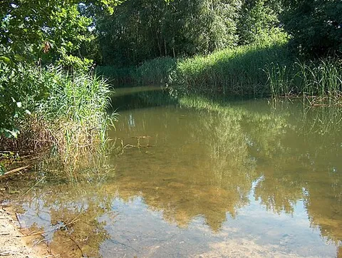 pool: a small and rather deep area of (usually) fresh water, as one supplied by a spring, or occurring in...
