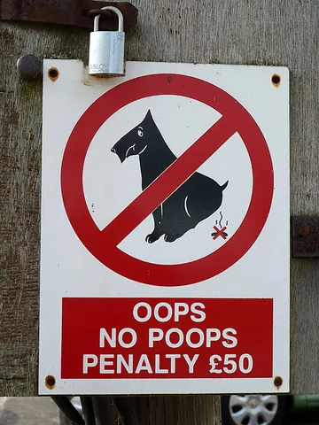 poop: to make a short blast on a horn