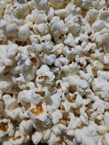 popcorn: a snack food made from corn or maize kernels popped by dry heating