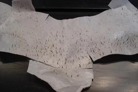 pore strip: an adhesive strip used to remove sebaceous filaments, blackheads etc. from the skin