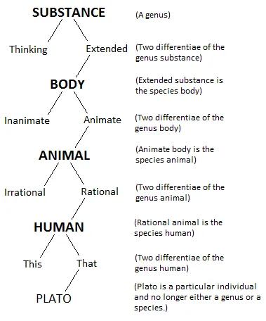 porphyrian tree: a tree-like hierarchical diagram illustrating a scale of being