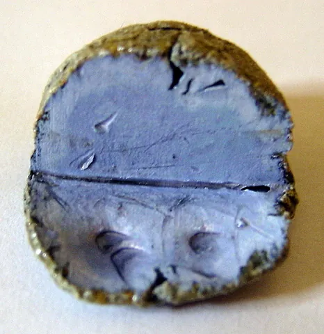 potassium: a soft, waxy, silvery reactive metal that is never found unbound in nature; an element with atomic...