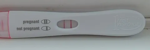 pregnancy test: a piece of test equipment that determines whether a woman, or by extension, a female animal is...