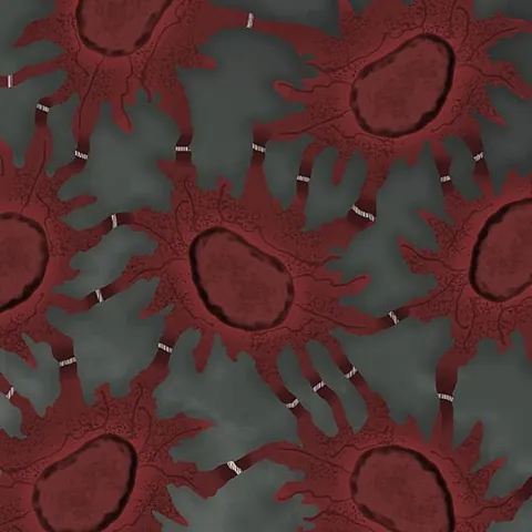 prickle cell: synonym of spinous cell; a polyhedral cell in the epidermis having many spines that form...