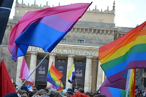 pride flag: the rainbow flag or variants of it