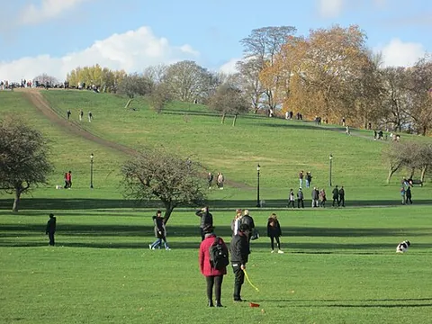 primrose hill: a hamlet in Witchampton parish, Dorset (OS grid ref ST9808)