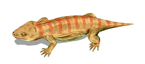 procolophonid: any parareptile in the family †Procolophonidae