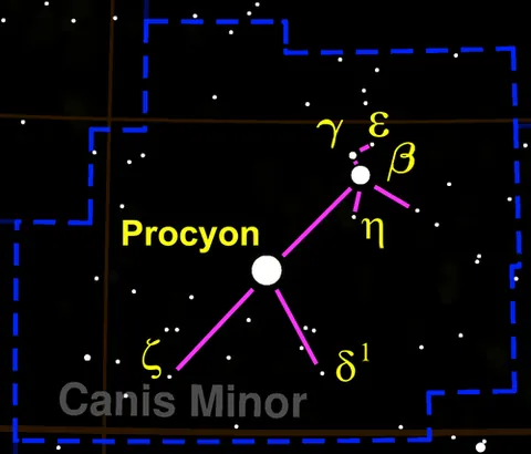 procyon: a star in the constellation Canis Minor; Alpha (α) Canis Minoris. The eighth-brightest star in the...