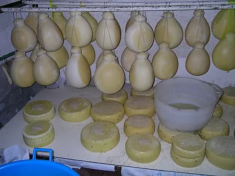 provolone: a semi-hard cheese made of whole milk from cows. It comes primarily from Southern Italy