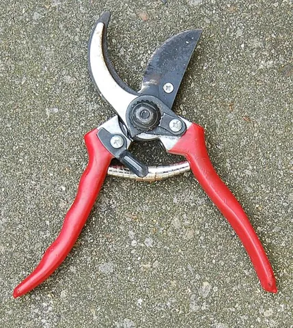 pruning shears: a tool consisting of two blades with bevel edges, connected by a pivot, used for gardening