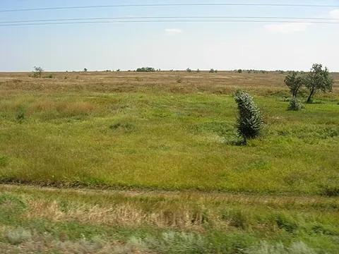 prysyvashshia: a geographic region of southern Ukraine, surrounding the Syvash; it occupies those parts of eastern...