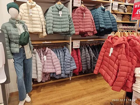 puffer jacket: an insulated padded jacket