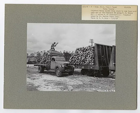 pulpwood: wood, usually softwood, used for pulping to make paper