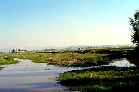 pumlenpat: a freshwater lake in Imphal valley, Manipur state of India