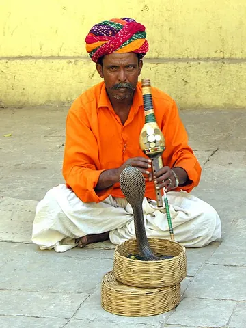 pungi: a wind instrument, traditionally made from a gourd, played by snake charmers in India and Pakistan
