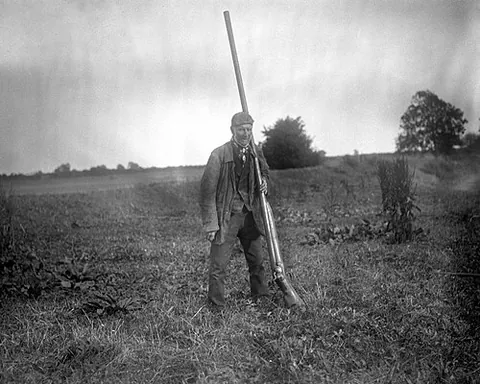punt gun: a very large shotgun used in the 19th and early 20th centuries for shooting large numbers of...