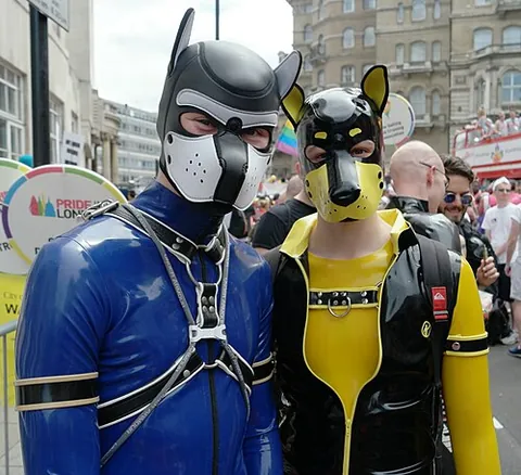pup hood: a full-face mask, typically made out of leather, latex, or rubber, shaped like the face of a dog...