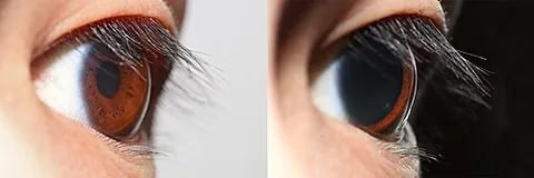 pupil: a learner at a school under the supervision of a teacher