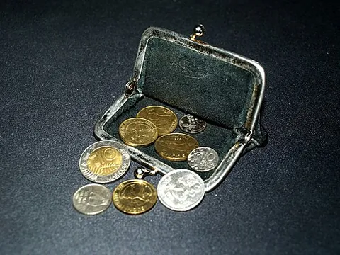 purse: a small bag for carrying money