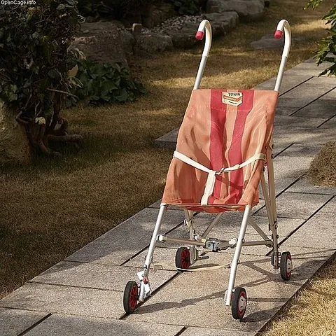 pushchair: a small carriage in which a baby or child sits and is pushed around