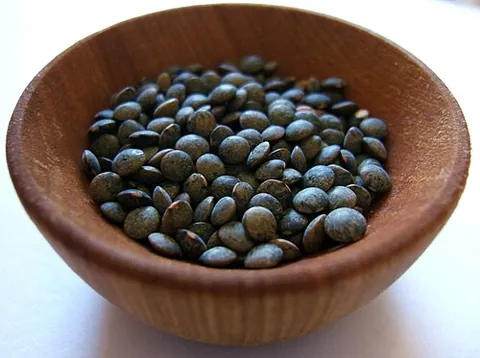 puy lentil: a green lentil of the variety Lens esculenta puyensis