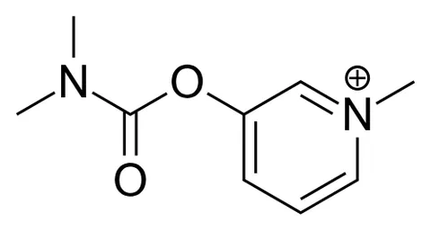 pyridostigmine: a parasympathomimetic and reversible cholinesterase inhibitor, used to treat muscle weakness and to...