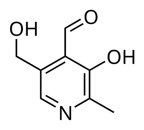 pyridoxal: one of the three natural forms of vitamin B6