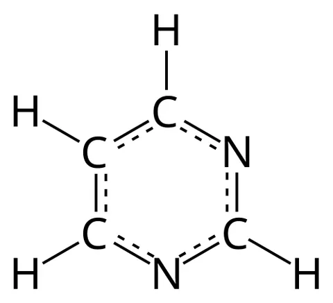pyrimidine: a diazine in which the two nitrogen atoms are in the meta- positions; it is the basis of three of...