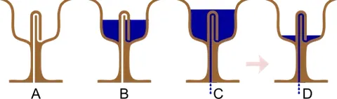 pythagorean cup: a practical joke device in a form of a drinking cup, sometimes used to make statements about greed....