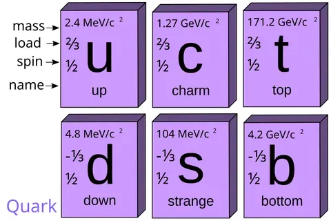 quark: in the Standard Model, one of a number of elementary subatomic particles having fractional electric...