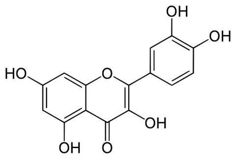 quercitin: a flavonoid found in fruits, vegetables, leaves and grains