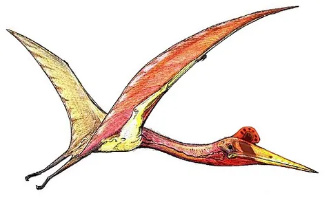 quetzalcoatlus: a large toothless pterosaur of the genus Quetzalcoatlus