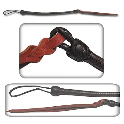 quirt: a rawhide whip plaited with two thongs of buffalo hide