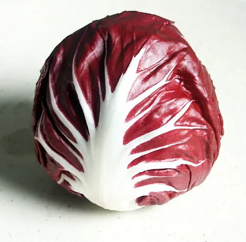 radicchio: a cultivar of chicory (Cichorium intybus var. foliosum) with red leaves and a slightly bitter...