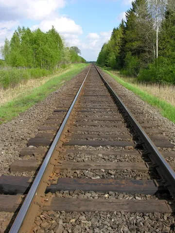 railbed: the substructure of a railway, underlying the tracks; the roadbed of a railroad
