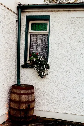 rain barrel: a barrel used to collect and store rainwater runoff, typically from rooftops via gutters