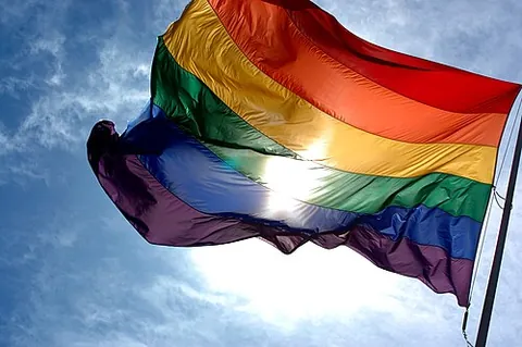 rainbow flag: a rainbow-striped flag, typically consisting of six horizontal bars (from top to bottom: red,...